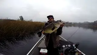 GoPro: Mike Gilbert - Best Catch 8.15.15. - Fish