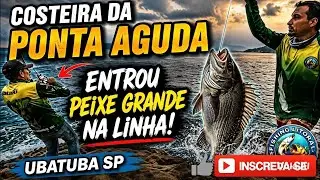 PESCARIA NA COSTEIRA DA PONTA AGUDA UBATUBA 31/01 BATEU UM MONSTRO 😬