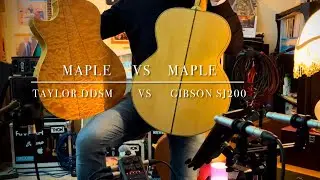 Taylor DDSM   VS    GibsonSJ200
