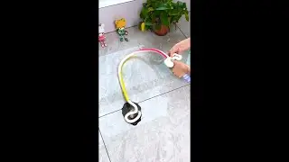 Best Kitchen Gadgets on Amazon 2021 Part#1 | Simply Homely Gadgetry 🏡😍🙏|#simplyhomelygadgetry#shorts