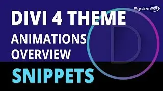 Divi 4 Animations Overview 😎
