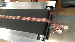 Label and carton feeder inkjet coding Machine (Lid running)