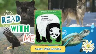Panda Bear, Panda Bear, What Do You See? | Storytime | Wild Animals & Habitats for Littles