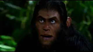 Mowgli &ndash; The Jungle Boy | Jungle Book Story for Kids