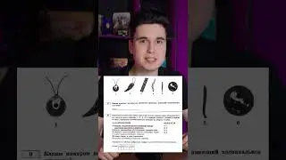 Эвглена зеленая &ndash; животное?