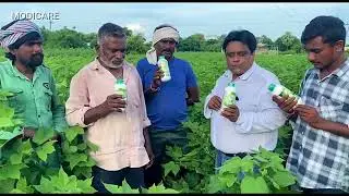 అధునాతన వ్యవసాయం | తక్కువ ఖర్చుతో ఎన్నో లాభాలు |  Modicare | Active 80 | MA Saleem | V Prakash