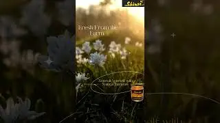 Nourish Yourself with Natural Nutrients 🌿🍯 | Choose Wholesome Living