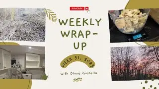 Weekly Wrap Up: #51, 2025 - The Great Solstice Reset - Clearing Space for new beginnings 🌞