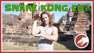 How to use Snake Kung Fu!