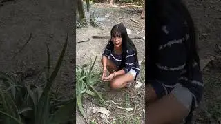 La milagrosa s&aacute;bila utilizada como &oacute;vulo #drama #reflexiones #historias