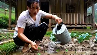 Bopha's daily life