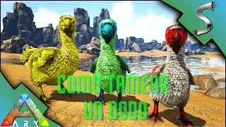 Como Tamear un Dodo