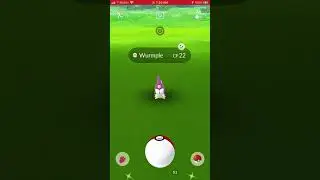 Random Encounter Shiny Wurmple plus Evolution into Shiny Silcoon in Pok&eacute;mon Go