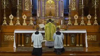 Live Stream - Mass - 9th Sunday after Pentecost - (1962 Missal) August 10th