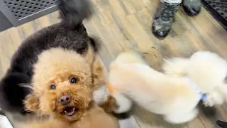 How do we manage to be clean when there is no light. Как мы обходимся быть чистыми когда нет света.