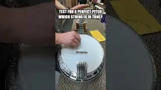 Perfect Tune Test - Gold Tone BG-150F Banjo