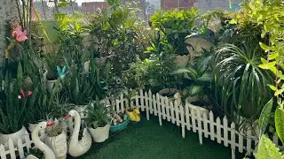 Mini Garden Makeover idea 🪏👨&zwj;🌾?#gardenmakeover #gardenideas #gardeningtips#plantsofindia#viral#video
