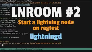 Start a lightning node on regtest with CLN | LN Room #2