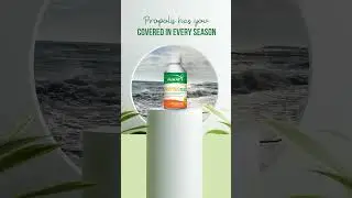 🐝🌸 Propolis: Your All-Season Protector 🌸🐝 #PropolisPower #NaturalImmunity #AllSeasonProtection