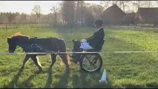 Proefje Armani