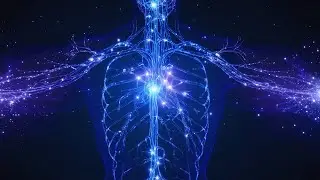 Calm Nervous System: Delta Waves Music for Deep Relaxation and Anxiety Relief