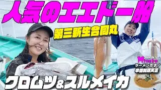 人気のエエドー船 第三新生合同丸のクロムツ～スルメイカリレー  朝はフラッシャーサビキでのクロムツ～スルメイカのリレー船です 美味しいクロムツとスルメイカ両方楽しめちゃいます～ラーメンは中華料理天正