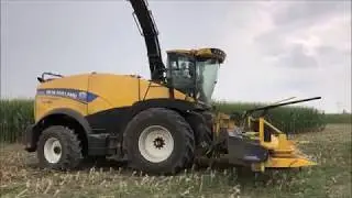 NEW HOLLAND FR780 vs DKC5530 secondo raccolto