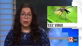 New York Governor's Office issues a &lsquo;Declaration of Imminent threat&rsquo; for Triple E virus