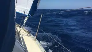 Sailing NSW Coast