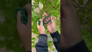 Green Jade Stone Bracelet - Help to Calm, Balance, and Positivity.