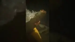 evolved godzilla atomic beam