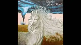 The Lost Gonzo Band - Those Were The Days