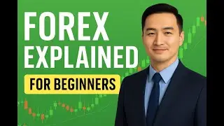 How to Practice Forex Trading Without Risk (Demo Accounts Explained)