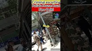 Criminal escorting in Patiala House Court| #shorts