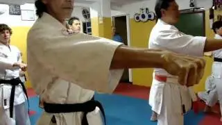 Kata Pinan Godan Shorin Ryu
