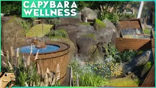 A Capybara enjoying an Orange Bath in Yosemite Zoo - Planet Zoo Speedbuild