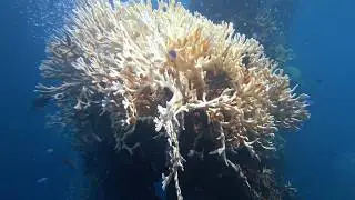 2017-10-26 Sankisan Maru