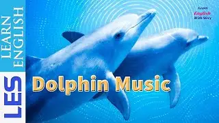 Learn English Through Story 📚 Dolphin Music by Antoinette Moses Conversation Practice Listen Level 5
