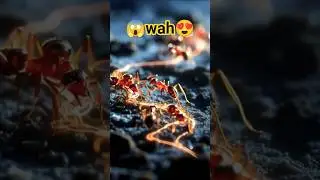 Ants की Super Army | Amazing Facts #kidsstory #aivideo #educational