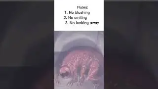 I love da Trimming #memes #mimic #vitacarnis #trimmings