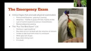 Avian Emergencies: What to do, when, and why - Dr. Currie Carothers, DVM