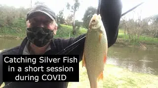 Catching Silver Fish in a short session during COVID
