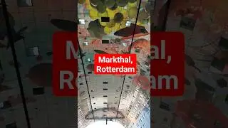 Markthal Rotterdam | The Rotterdam Market Hall