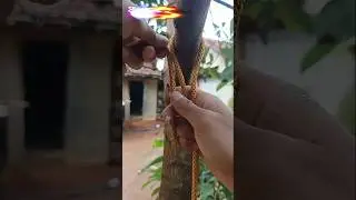 How to Tie a Strong Rope Knot | Easy Step-by-Step Guide