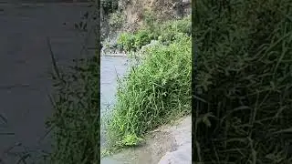 Gole dell&rsquo;Alcantara, Sicily 🌋 | Walking Through the Volcanic Gorge