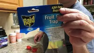 Fruit Fly Trap