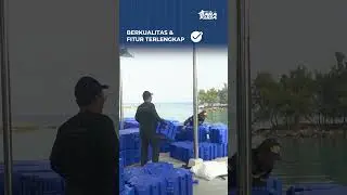 CARI KUBUS APUNG TERBAIK? BARAKUDA MARINE SOLUSINYA!