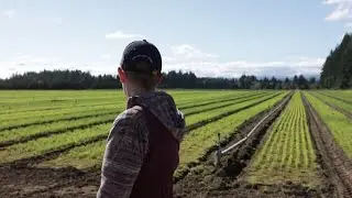 Tree nursery promotes growth amid Trump order targeting forests | REUTERS