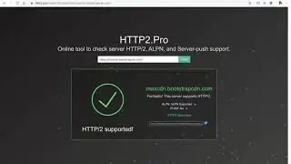 Check Website all request HTTP version in Google Chrome, Firefox or Safari