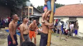 Panjat pinang terlucu sedunia